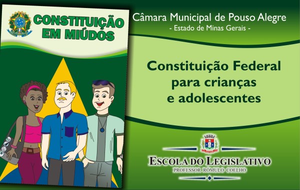 Constituição em miúdos