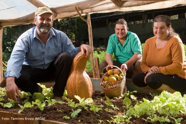 Alimentos orgânicos 